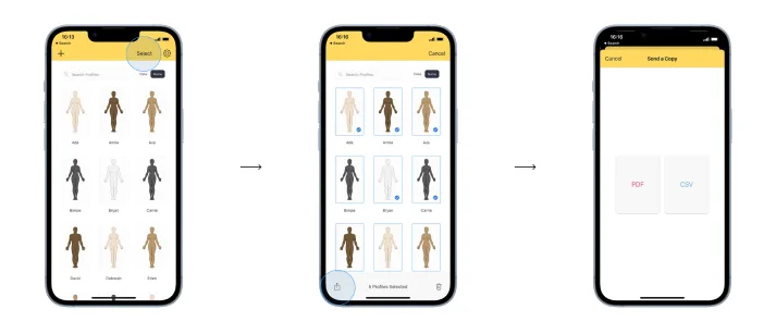 Multi-select export screen with profiles chosen for PDF or CSV export.