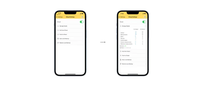 iCloud settings screen showing the toggle, storage details, and push and pull controls.